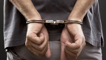 ¿Qué se entiende por detención?