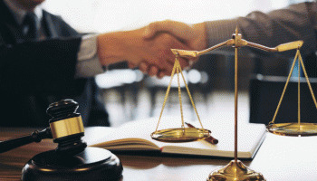 PROCEDIMIENTO PENAL